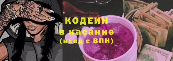 бошки Бородино