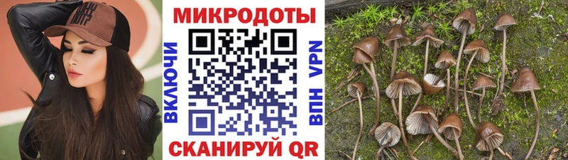магазин    мориарти официальный сайт  Галлюциногенные грибы Psilocybe  Жуковка 
